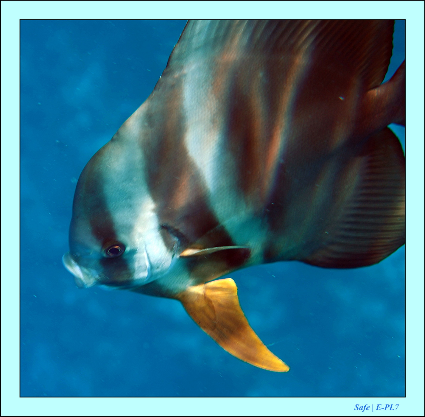 2023 - 07 - Sandies Bathala - 101